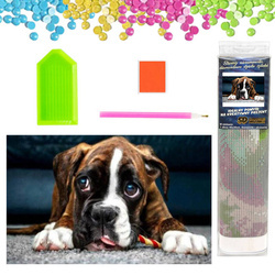 DIAMENTOWA MOZAIKA HAFT 5D Pies Buldog bokser o smutnych oczach