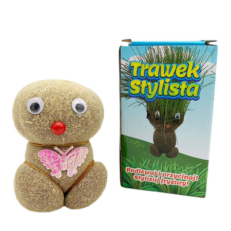 TRAWEK STYLISTA rosnąca trawa do stylizacji PODLEWAJ I PRZYCINAJ