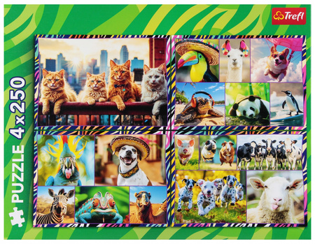 Puzzle 4x250 el. Zabawne zwierzaki Trefl