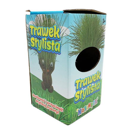 TRAWEK STYLISTA rosnąca trawa do stylizacji PODLEWAJ I PRZYCINAJ