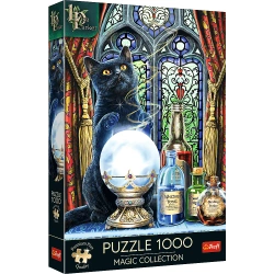 Puzzle Premium Plus Quality 1000 el. Magic Collection: Uczeń czarownicy