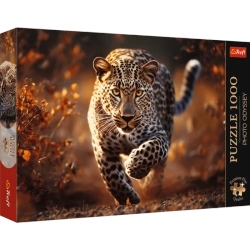 1000 el. Photo Odyssey: Dziki Leopard