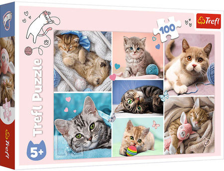 Puzzle 100 elementów w kocim świecie koty Trefl