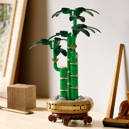 LEGO ICONS Botanicals 10344 Dracena Sandera