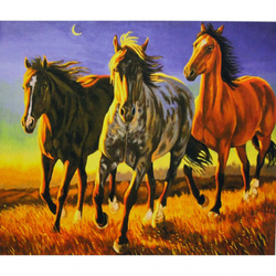 MALOWANIE PO NUMERACH 3 KONIE W GALOPIE Z RAMĄ 50X40