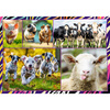 Puzzle 4x250 el. Zabawne zwierzaki Trefl