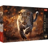 1000 el. Photo Odyssey: Dziki Leopard