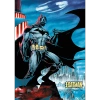 Puzzle Premium Plus Quality Batman 1000 el.