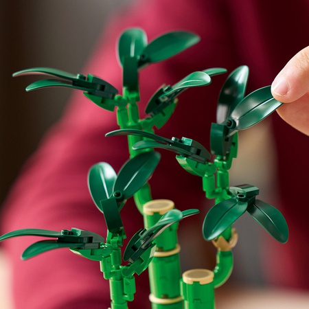 LEGO Botanicals 10344 Dracena Sandera