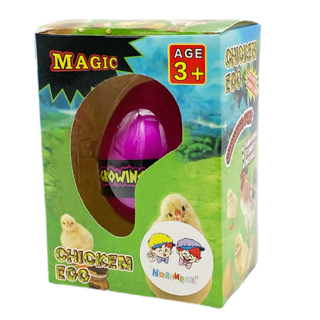 Rosnący kurczak w jajku wykluwający się z jajka Magiczne jajo