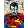 Puzzle Premium Plus Quality Superman 1000 el.