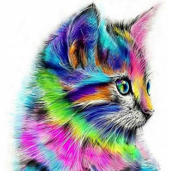 DIAMENTOWA MOZAIKA Haft 5D Kolorowy kot
