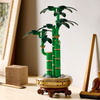 LEGO Botanicals 10344 Dracena Sandera