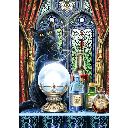 Puzzle Premium Plus Quality 1000 el. Magic Collection: Uczeń czarownicy
