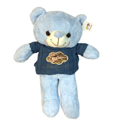 MIŚ PLUSZOWY MASKOTKA W SWETERKU Z CEKINÓW