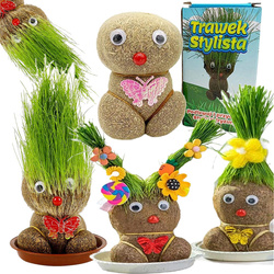 TRAWEK STYLISTA rosnąca trawa do stylizacji PODLEWAJ I PRZYCINAJ