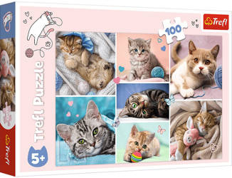 Puzzle 100 elementów w kocim świecie koty Trefl