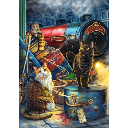 Puzzle Premium Plus Quality 1000 el. Magic Collection: Ekspres czarownic