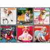 Puzzle 200 elementów wesołe psy dni tygodnia Trefl