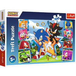 Puzzle 100 elementów Poznaj Sonica Sonic Trefl