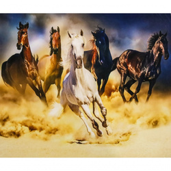 MALOWANIE PO NUMERACH 5 KONIE W GALOPIE Z RAMĄ 50X40
