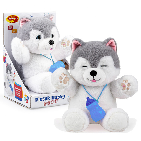 Interaktywny piesek Husky kołysanki odgłosy dźwięki ruchome oczy powtarza