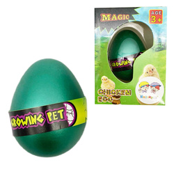 Rosnący kurczak w jajku wykluwający się z jajka Magiczne jajo