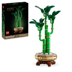 LEGO ICONS Botanicals 10344 Dracena Sandera