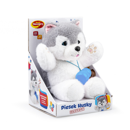 Interaktywny piesek Husky kołysanki odgłosy dźwięki ruchome oczy powtarza